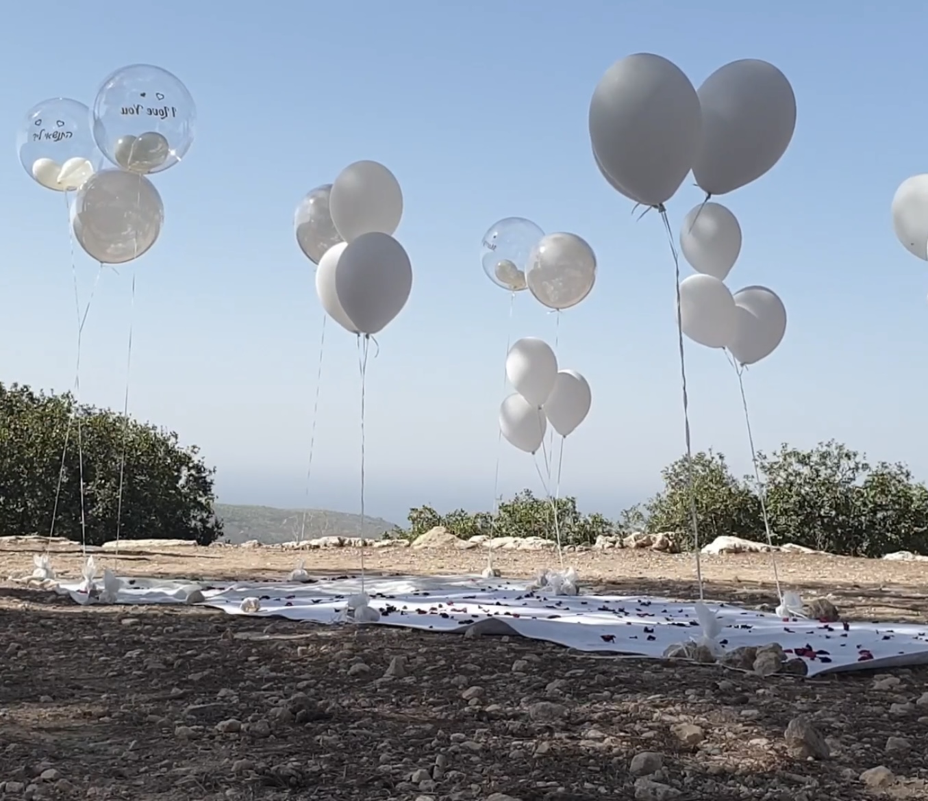 עיצוב בלונים 6